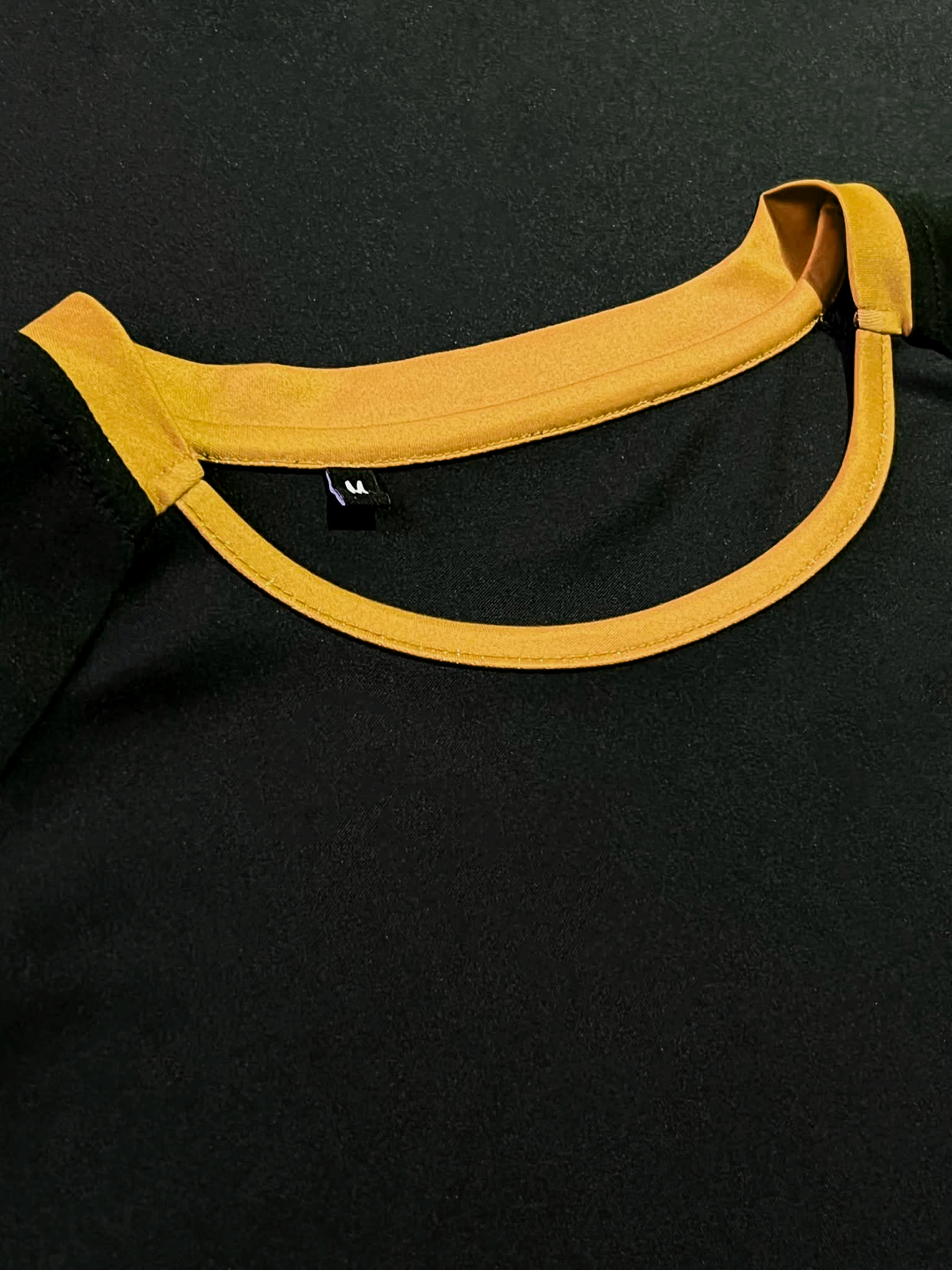 COLLAR_BLACK_AMBER.png
